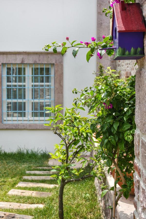 Lunaria Guest House Ayvalı المظهر الخارجي الصورة