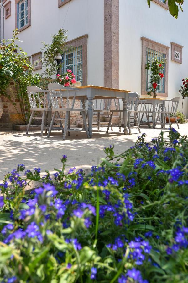 Lunaria Guest House Ayvalı المظهر الخارجي الصورة
